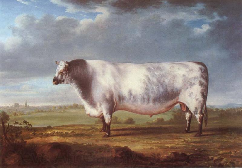 Thomas Alder A Prize Bull Spain oil painting art